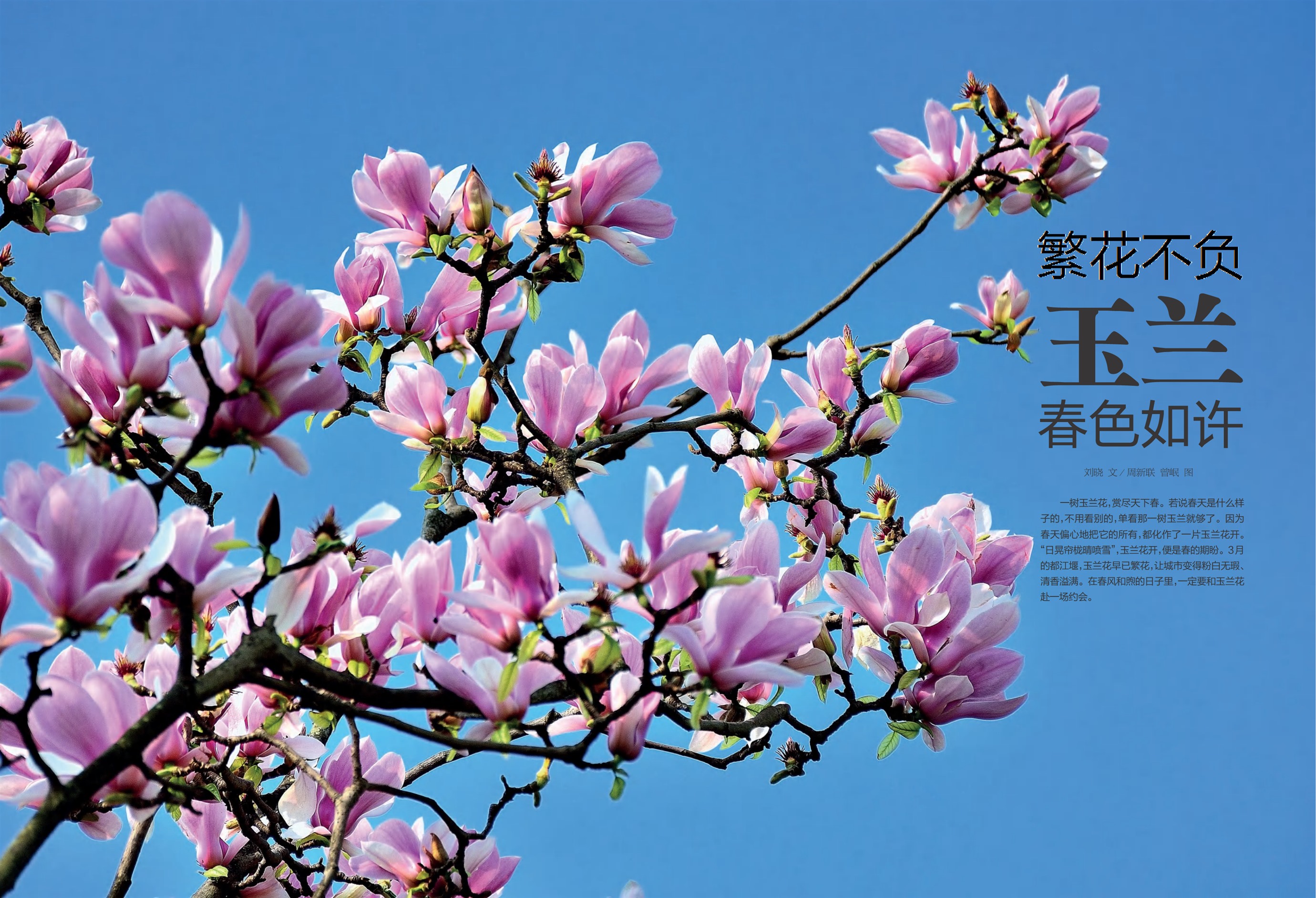都江堰79-80